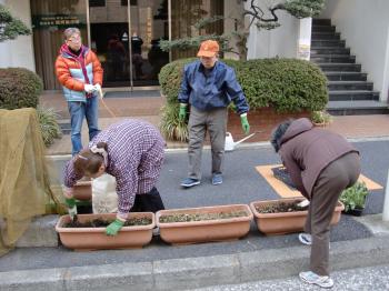 2011.03.12 sarugaku gardening CIMG0640.JPG
